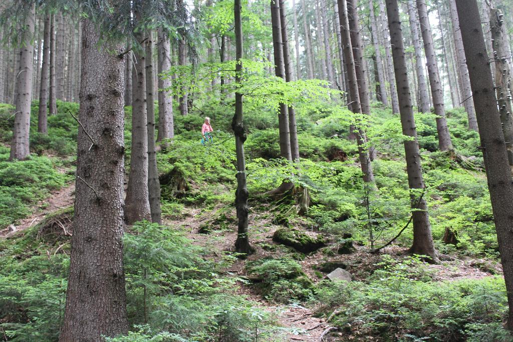 Apartmany U Jirousu ロキトニツェ・ナト・イゼロウ エクステリア 写真