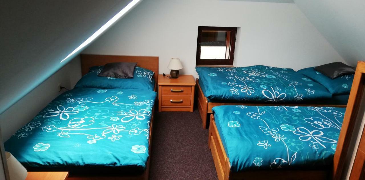 Apartmany U Jirousu ロキトニツェ・ナト・イゼロウ エクステリア 写真